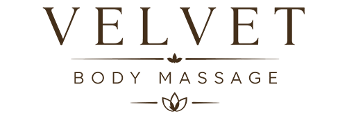 logo-velvet-home2
