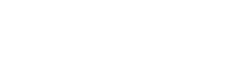 logo-velvet-white